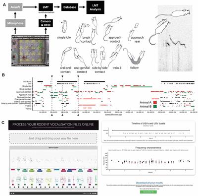 LMT USV Toolbox, a Novel Methodological Approach to Place Mouse Ultrasonic Vocalizations in Their Behavioral Contexts—A Study in Female and Male C57BL/6J Mice and in Shank3 Mutant Females